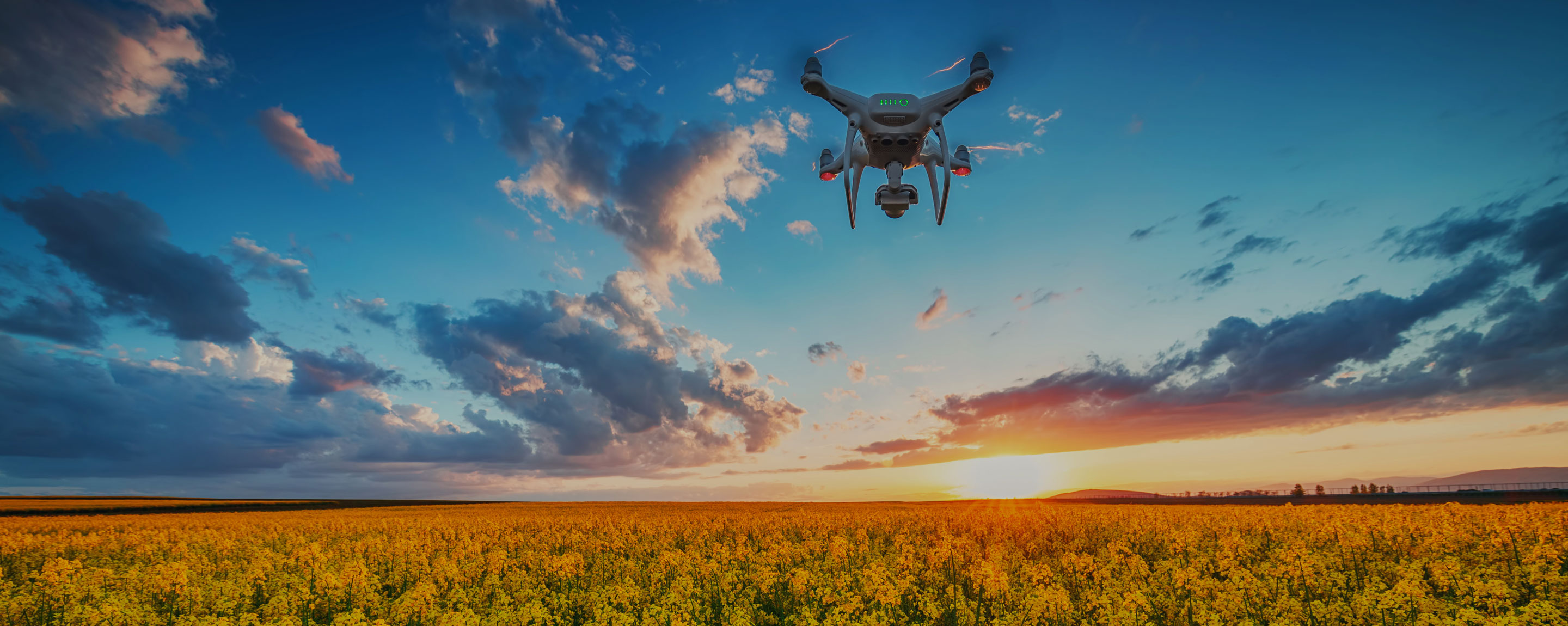 Realising the value and power of brands in the agri sector