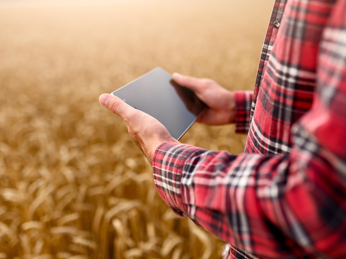 blog-agri-ai