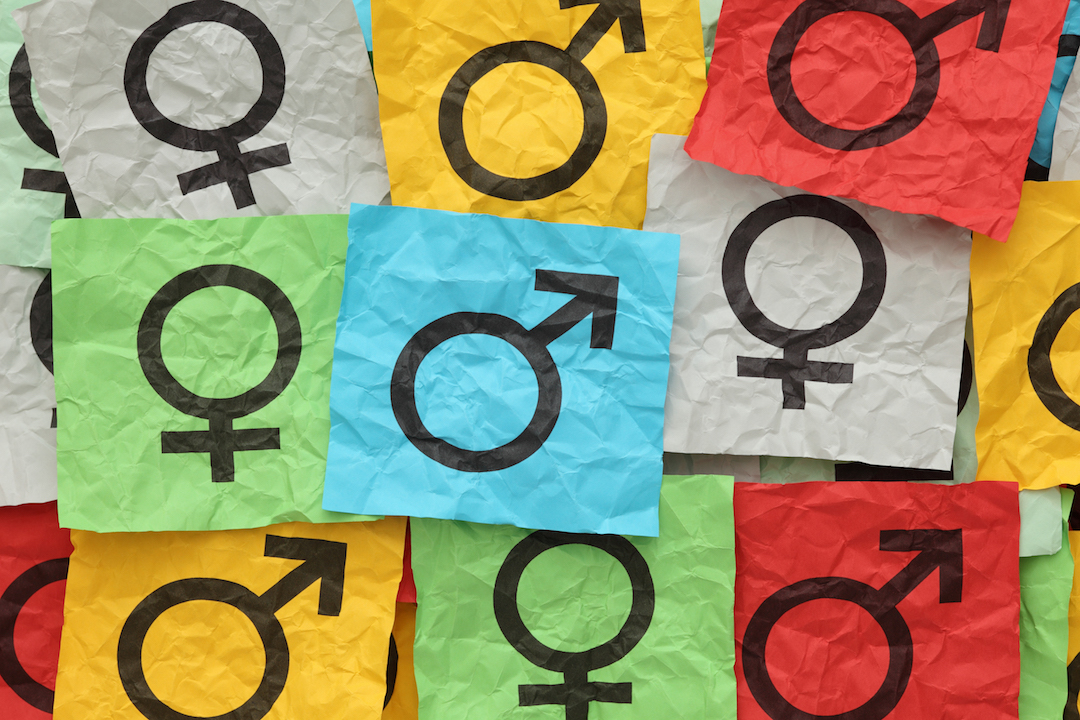 Cambridge debates gender equality and priorities in education