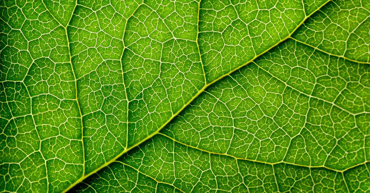 CSR and values – how to move beyond the box-ticking