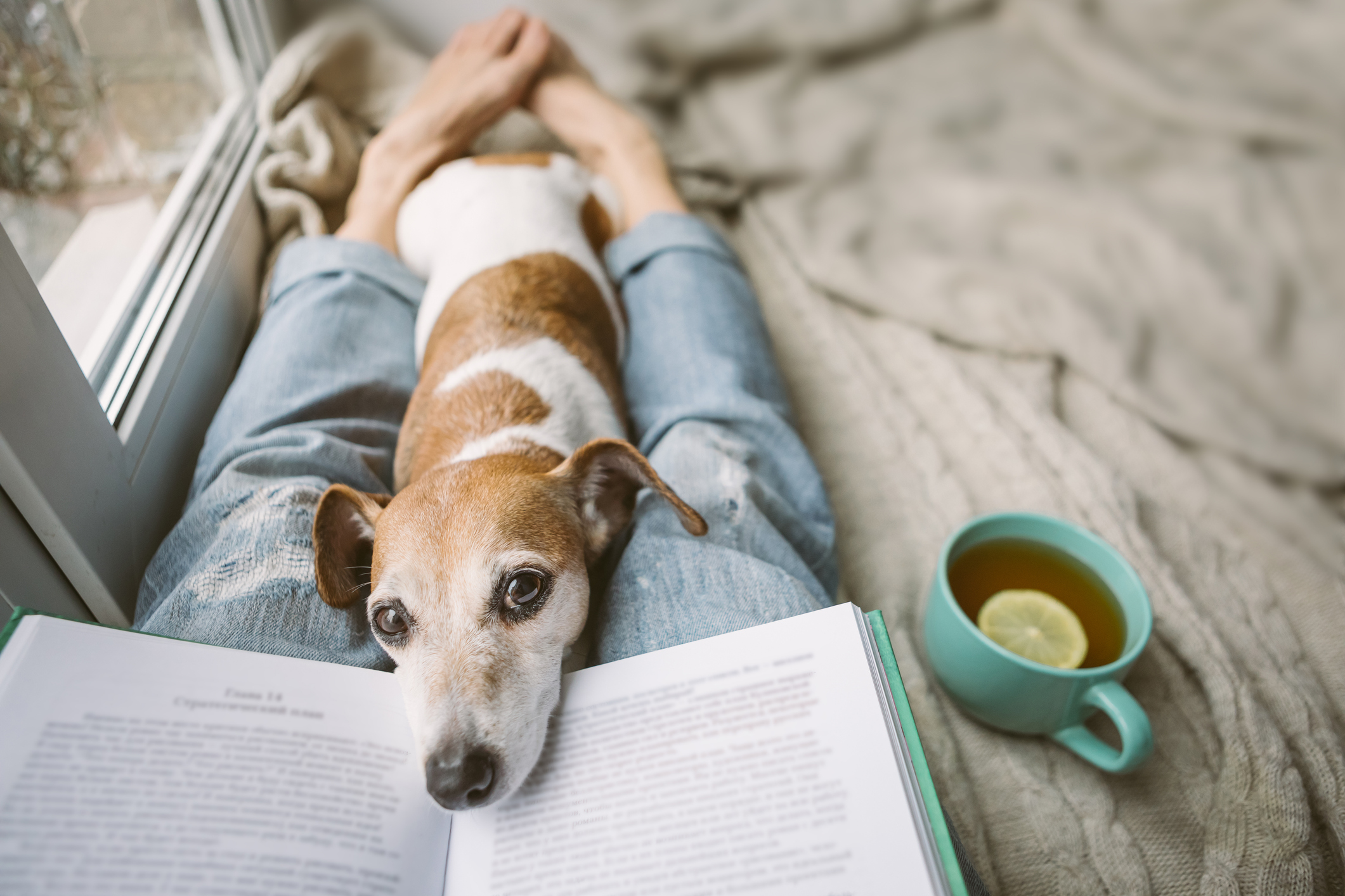 Books for quarantine period