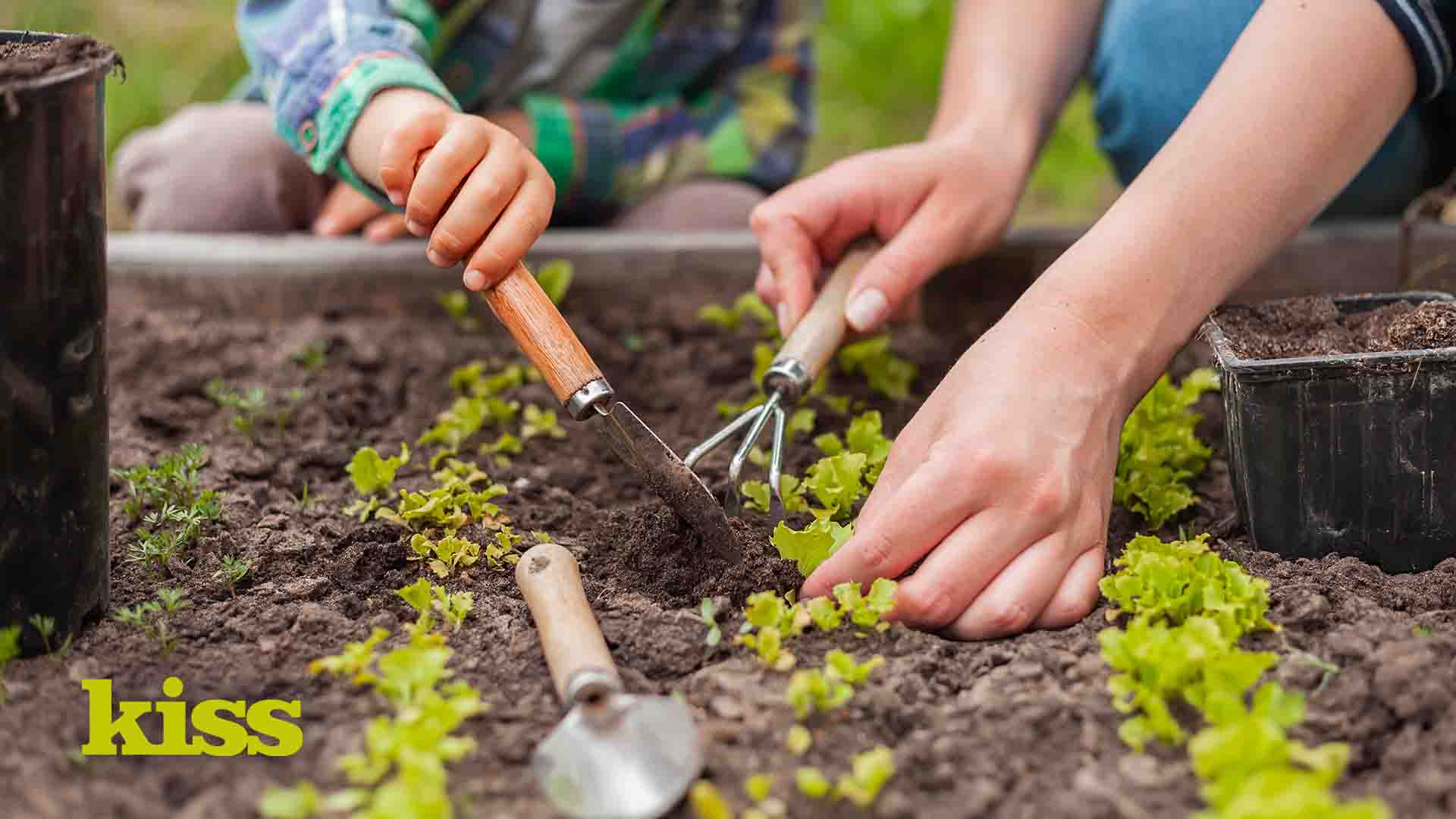 Green fingers and agency life - yes, there’s a link!