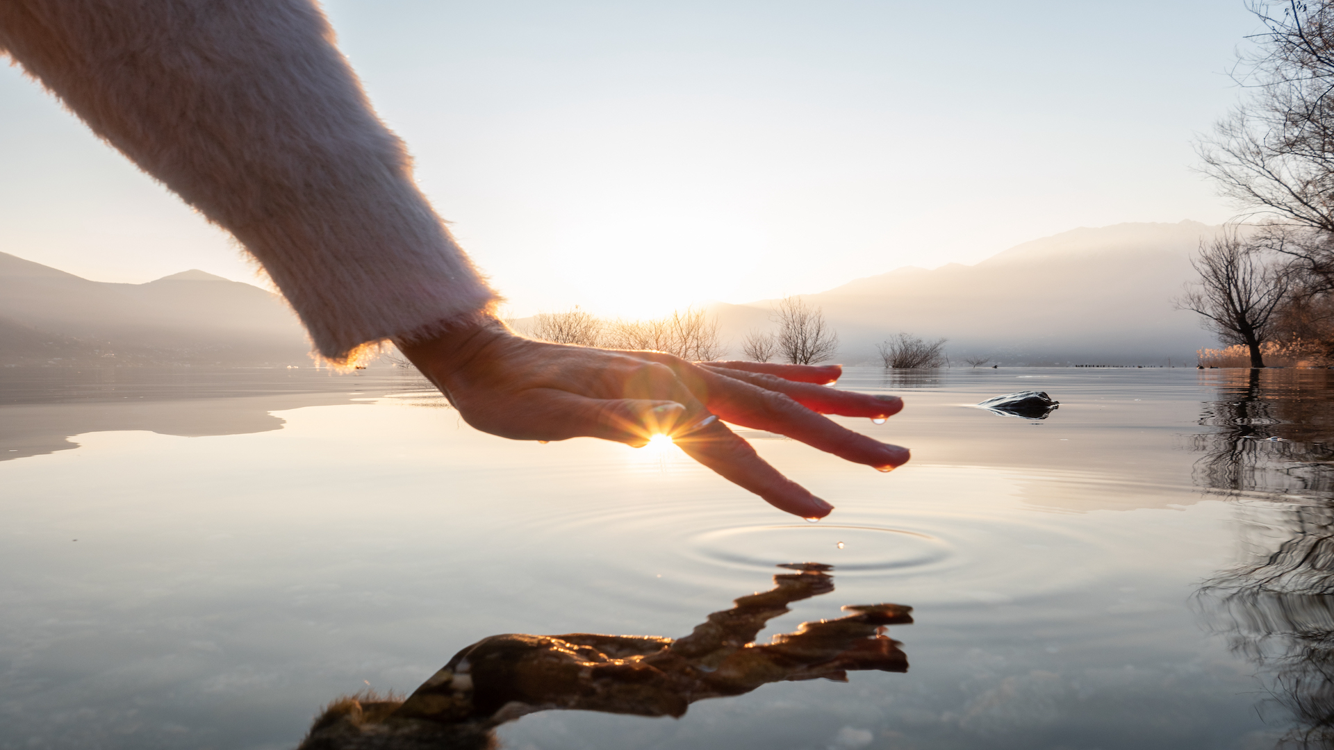 'Happy Place’ – the only way we’ll get what we really need
