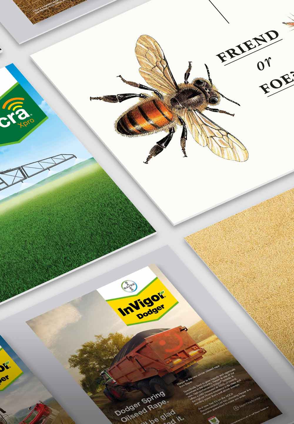 Bayer Crop Science