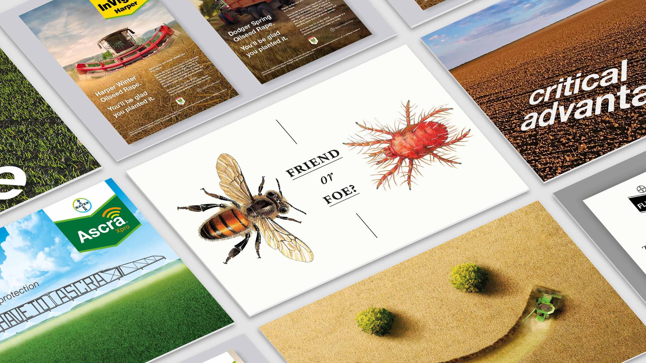 Bayer Crop Science